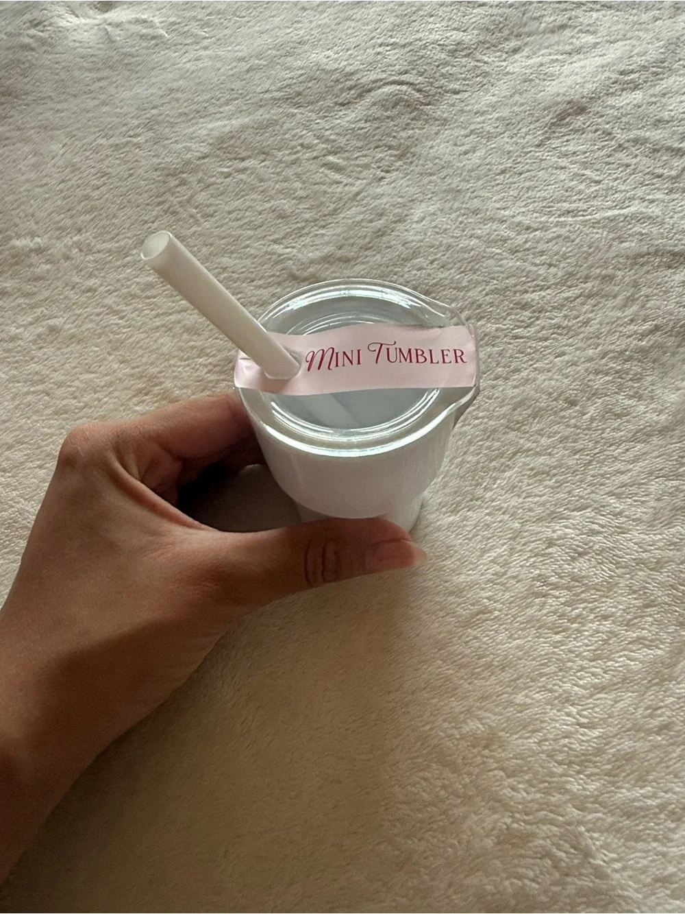 Mini Tumbler/container